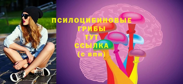 молекула духа Нягань