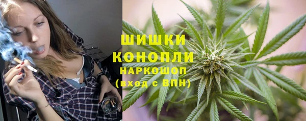 молекула духа Нягань